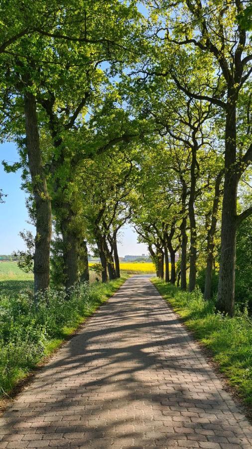 Ferienwohnung Baltrum Auf Dem Elisenhof Hagermarsch Exteriör bild