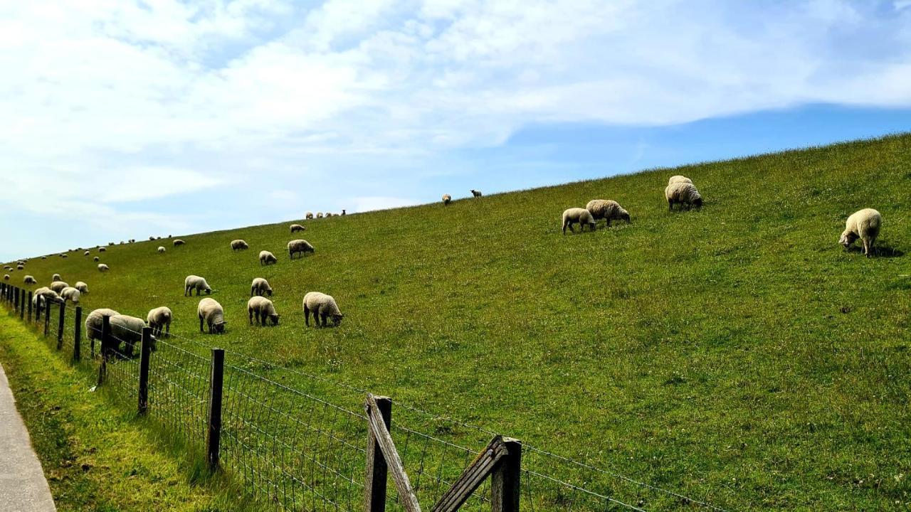 Ferienwohnung Baltrum Auf Dem Elisenhof Hagermarsch Exteriör bild