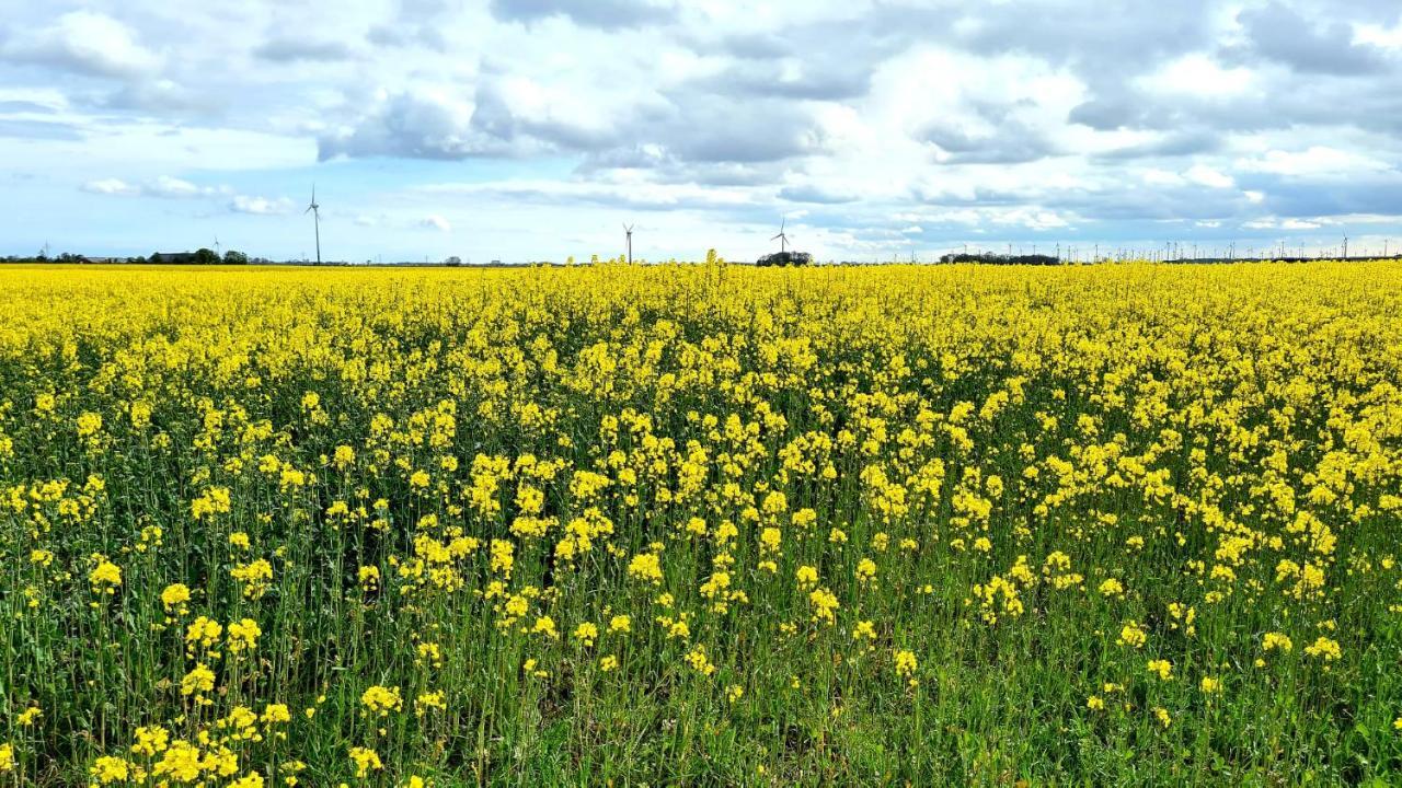 Ferienwohnung Baltrum Auf Dem Elisenhof Hagermarsch Exteriör bild
